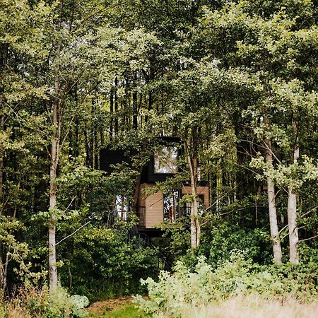 Dziki Las - Domki Na Drzewach Milomlyn Exterior foto