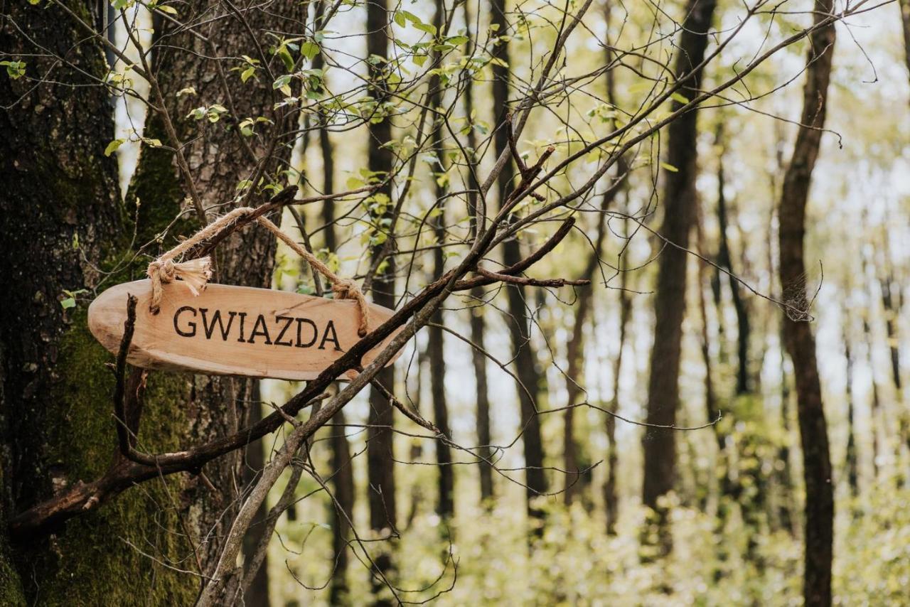 Dziki Las - Domki Na Drzewach Milomlyn Exterior foto