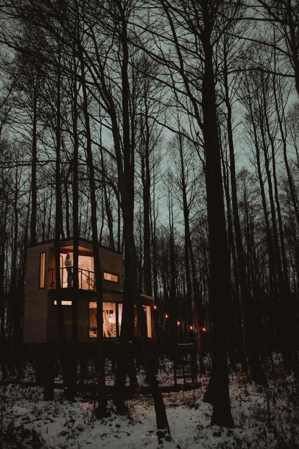 Dziki Las - Domki Na Drzewach Milomlyn Exterior foto
