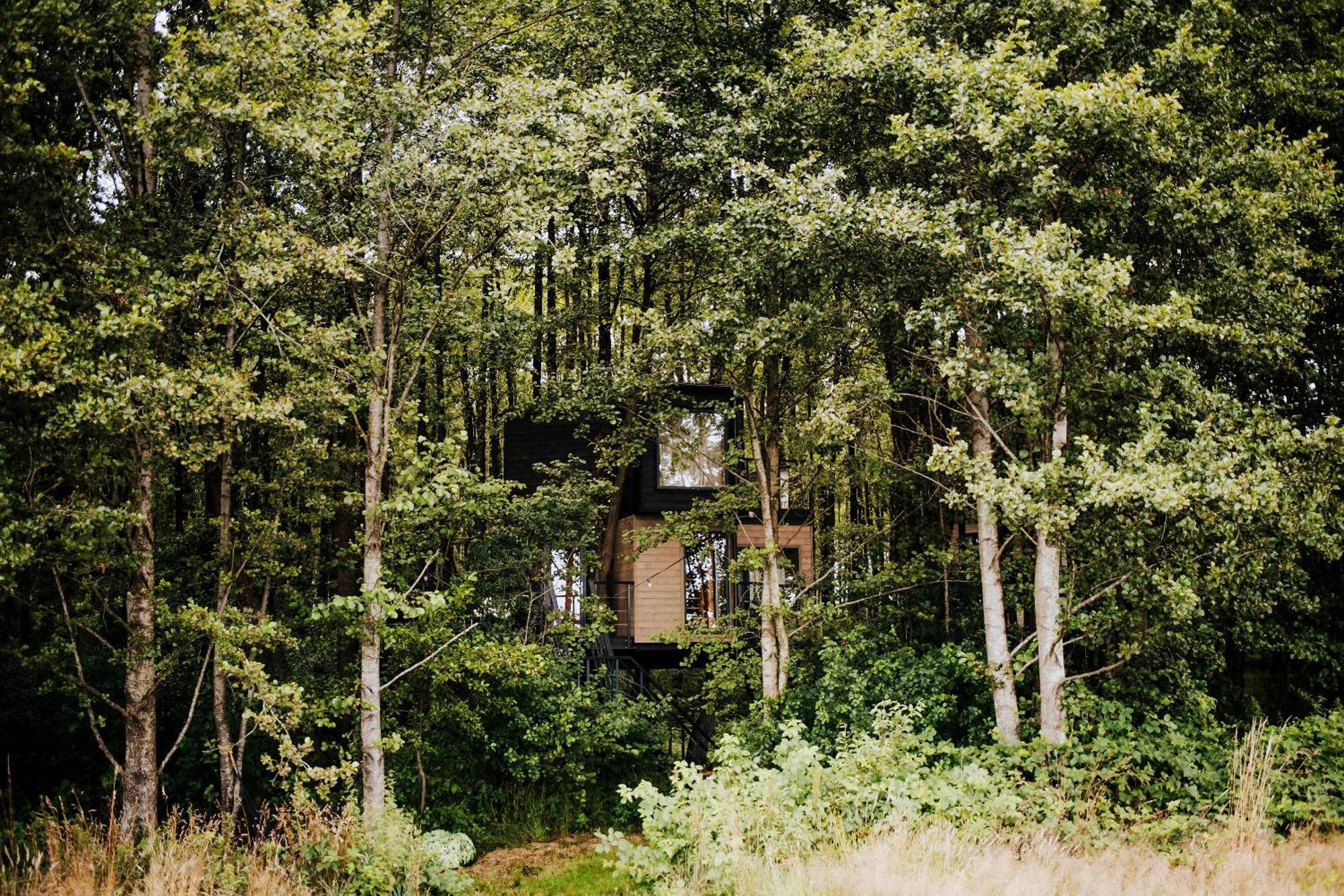 Dziki Las - Domki Na Drzewach Milomlyn Exterior foto