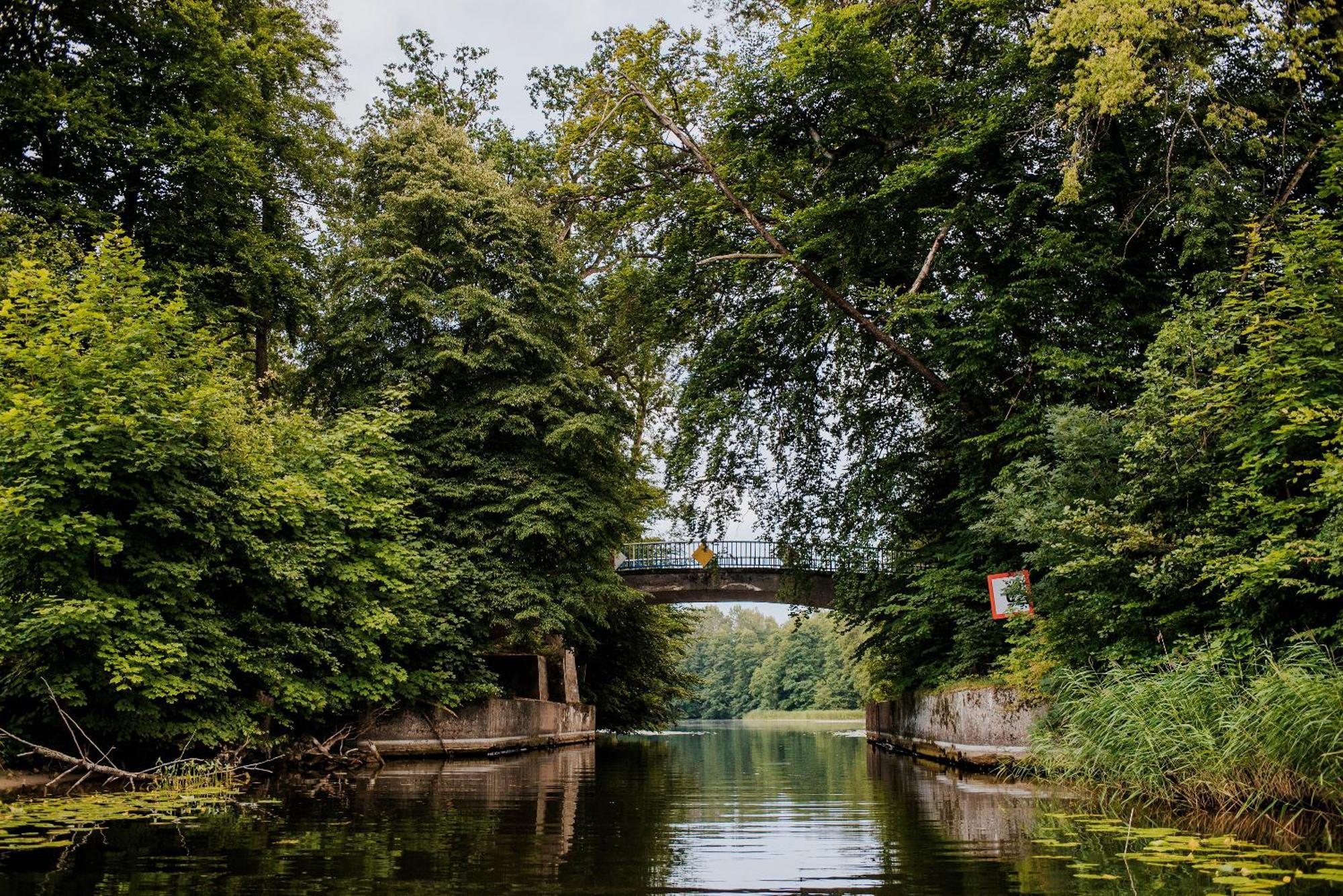 Dziki Las - Domki Na Drzewach Milomlyn Exterior foto